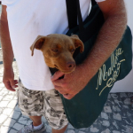 chico-faehre_4_0.jpg